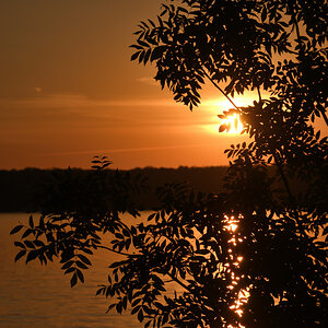 DSC_1655.JPG