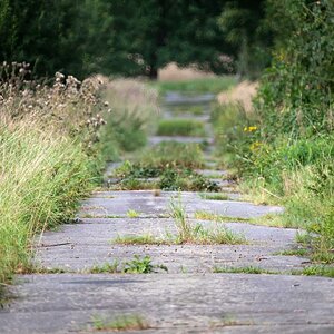 Road to nowhere.jpg