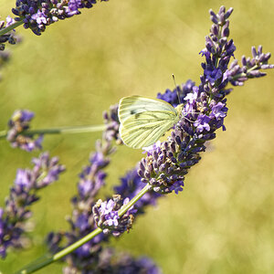 NIKON_2023_01431NF.jpg