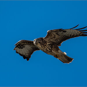D50_9321-Verbessert-RR.jpg