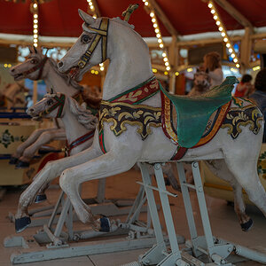 DSC01828.jpg