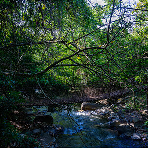 DZ7_6731.jpg