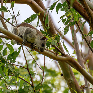 DZ7_7002-Bearbeitet-Bearbeitet.jpg