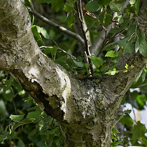 _Z506732_DXOAxl.jpg