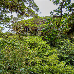 P4072541.jpg