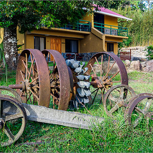 P4072579.jpg