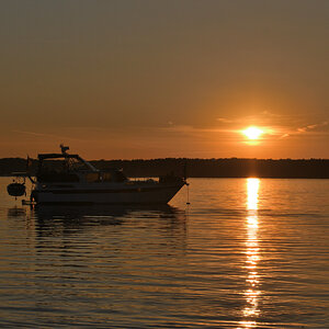 DSC_1652.JPG