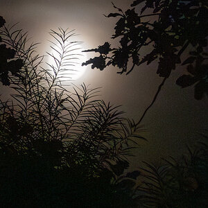 50Z_0530-Verbessert-RR.jpg