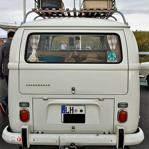 DSC_7296.jpg