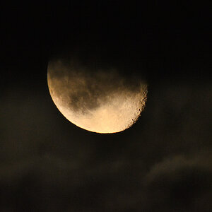 DSC_8756.JPG