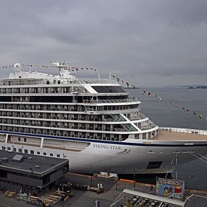viking_star_1.jpg