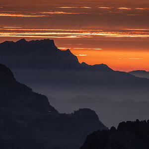 _Z623596-DeNoiseAI-clear.jpg