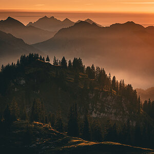 _Z623565-DeNoiseAI-clear.jpg