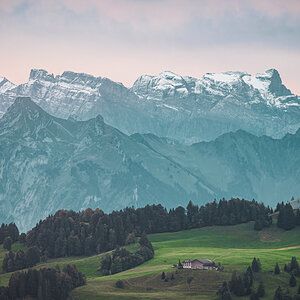 _Z623468-DeNoiseAI-clear.jpg
