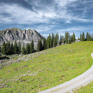 _Z623537-DeNoiseAI-clear.jpg