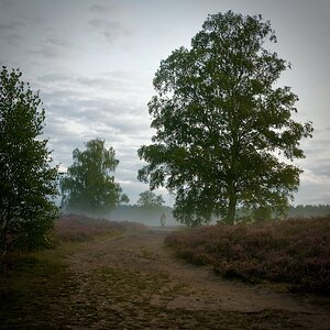 DSC_7702.jpeg