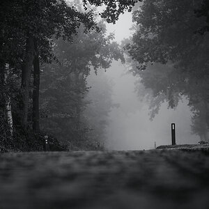 Z62_4321_3.jpg