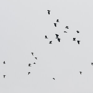 231002-001-2.jpg