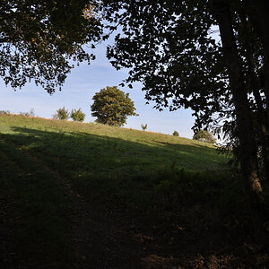 DSC_8779.JPG