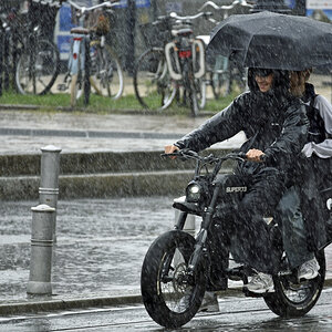 regen.jpg