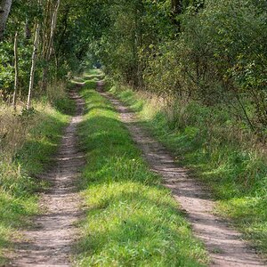 Moorweg.jpg