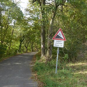 P1020825.jpg
