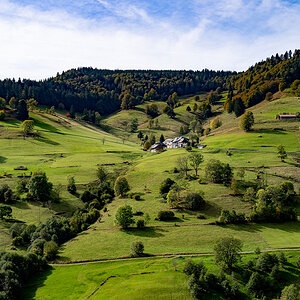 ZHG_0627.jpg