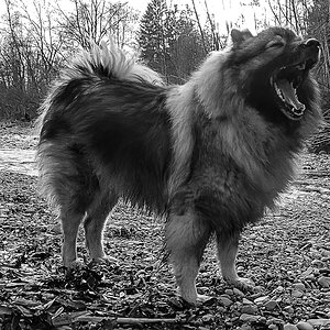 20200111-Prinzessin.jpg