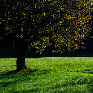 Herbst.jpg