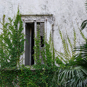 Fenster.jpg