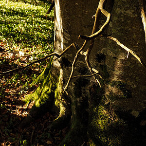 PA140214.jpg