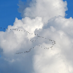 OF5_42040.jpg