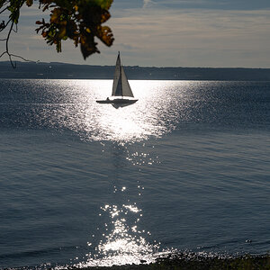 DSC_1572.jpg