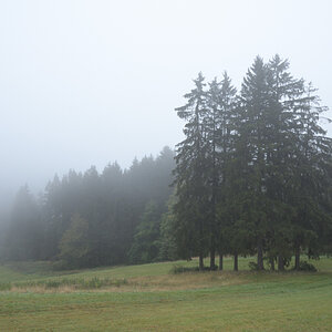 DSC_9013.JPG