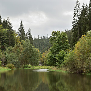 DSC_8979.JPG