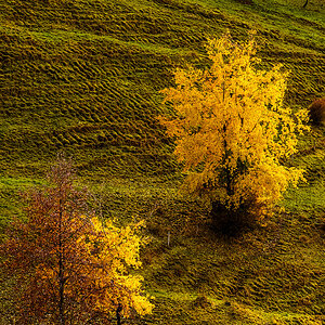 Herbst.jpg