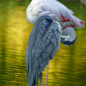 NIKON_2023_01983NF.jpg