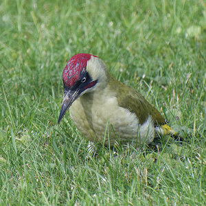 NIKON_2023_01994NF.jpg