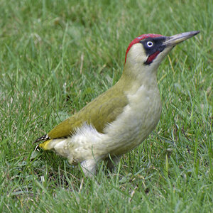 NIKON_2023_02000NF.jpg