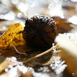 Herbst_10.jpg