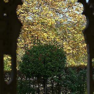 Herbst_12.jpg