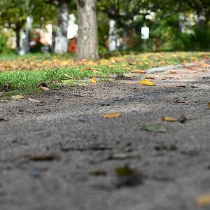 Herbst_13.jpg