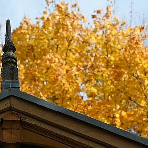 Herbst_14.jpg