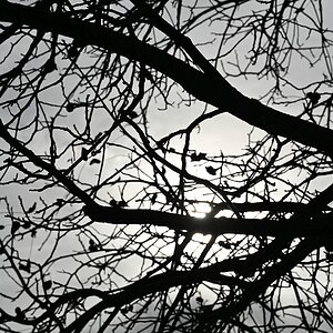 Herbst_17.jpg
