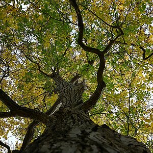 Herbst_19.jpg