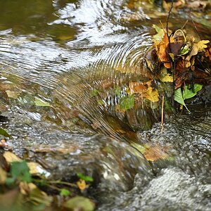 Herbst_22.jpg