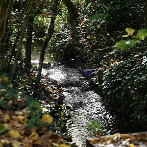 Herbst_23.jpg