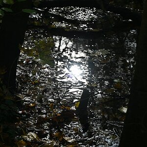 Herbst_24.jpg