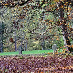 Herbst_35.jpg