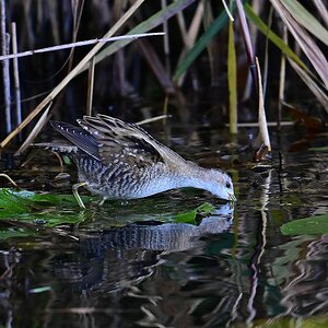 2023_043375.jpg